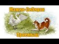 Мамин-Сибиряк "Приёмыш" #Аудиокнига