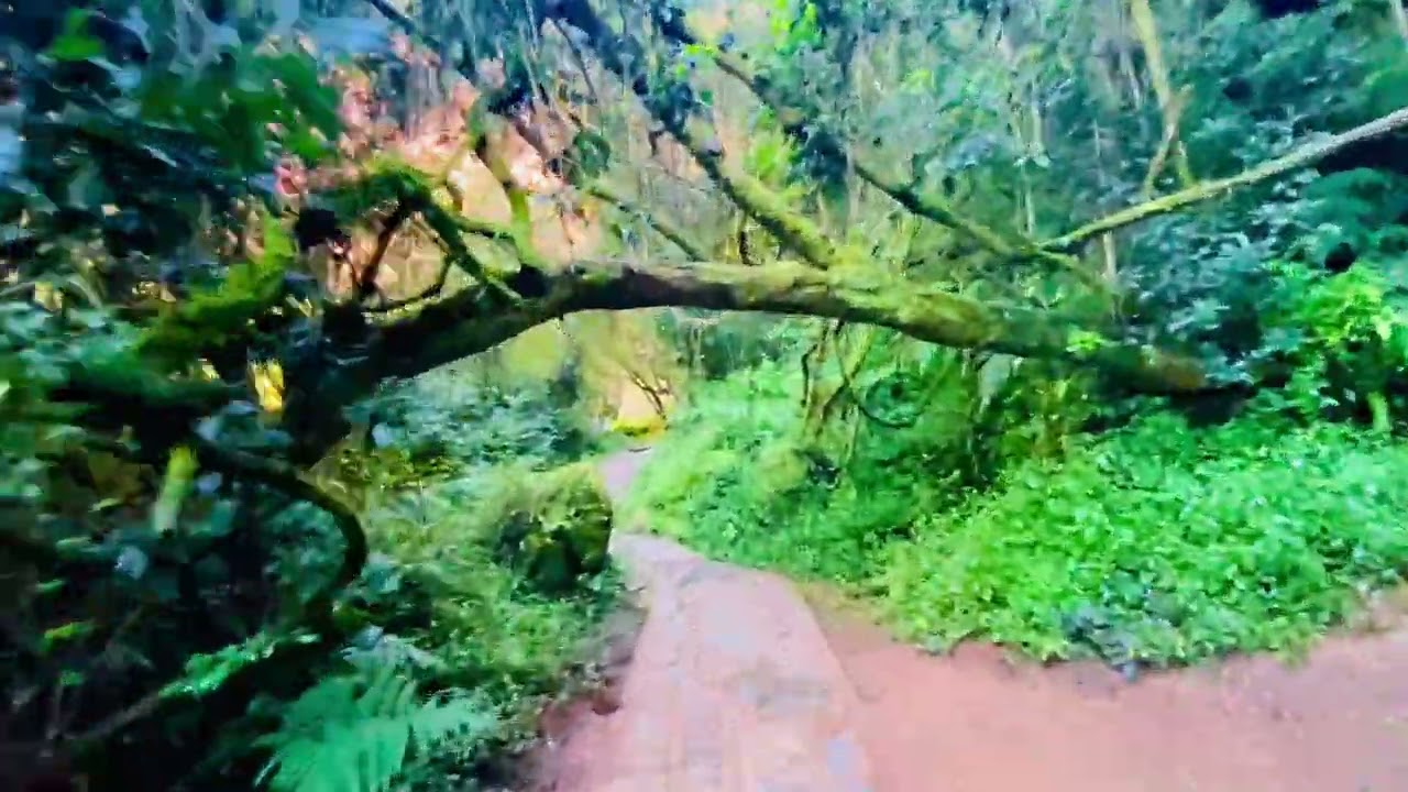 Lone Creek Falls, Sabie, Mpumalanga - South Africa