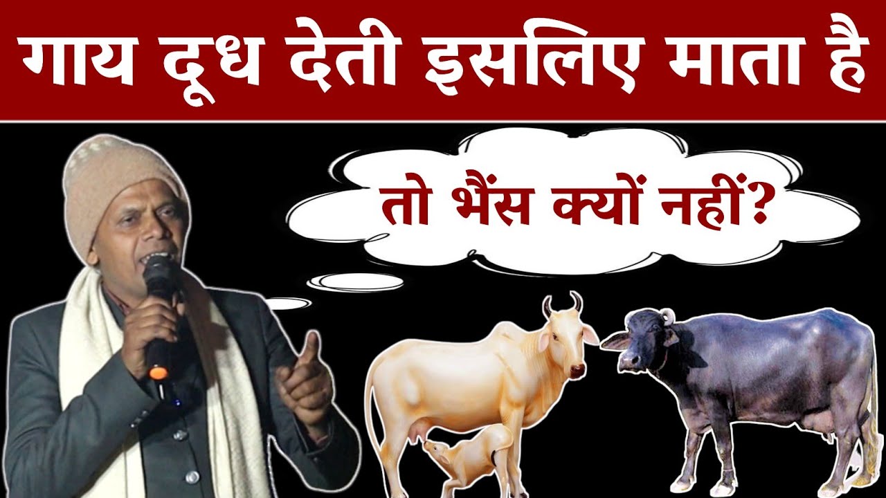 How is mother cow? | गाय दूध देती इसलिए माता है तो भैंस क्यों नहीं? | S.Siyaram Mahto | Arjak Tv