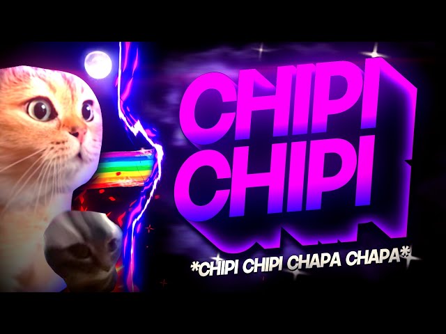 BEAT CHIPI CHIPI CHAPA CHAPA - Gatinho Viral - Tiktok (FUNK REMIX) by Canal Sr. Nescau class=