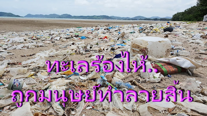 ทะเลร้องไห้..ถูกมนุษย์มักง่ายทำร้าย ขยะนับล้านโหมกระหน่ำทำลายธรรมชาติอ่าวดงตาลสัตหีบ