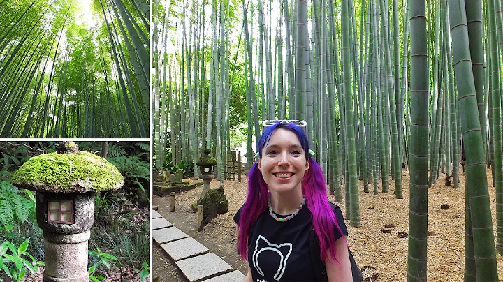 Bamboo Forest in Kamakura - SO BEAUTIFUL!! Tokyo Day Trip - DayDayNews
