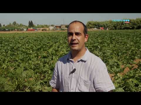 Vídeo: Com tracteu amb els proveïdors?