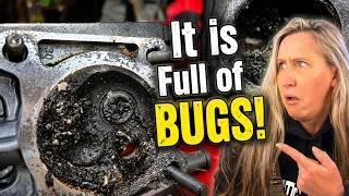 Infestation! Customers Mower Was FULL Of Bugs! Will It Run?