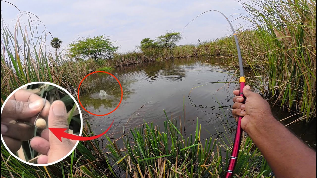 సంక్రాంతి పండగ రోజు చేపల కి పోతే మామ bros 2026