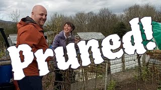 Allotment Gardening Jobs ( and Potting On and Sowing )