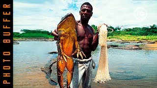 WORLD'S BIGGEST FROGS