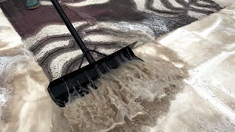 MOST SATISFYING RUG SQUEEGEE COMPILATION | ASMR