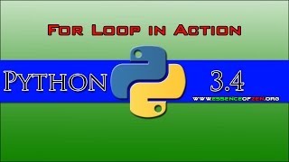 Python 101: For Loops in Action!