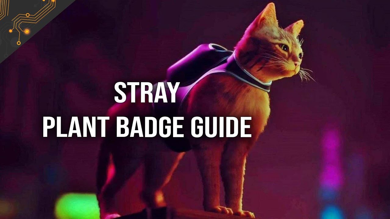Stray Plant Badge Guide