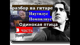 картинка: ОДИНОКАЯ ПТИЦА.Наутилус Помпилиус.Второй проигрыш.Урок 3 #урокигитары  #разборпесен #гитара #guitar