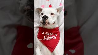 Here’s another fun one! 😍 Luna doesn’t care to play on her back so I just did Layla ☺️