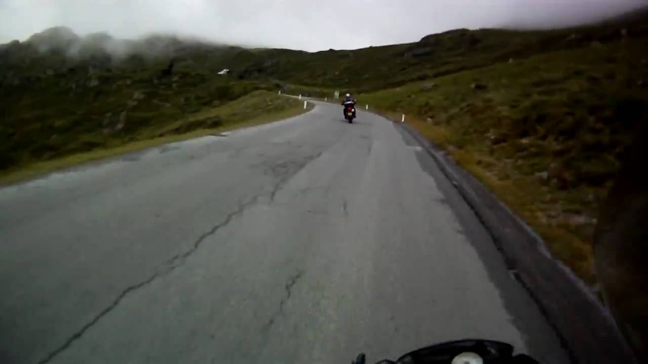 dieren op de weg - YouTube