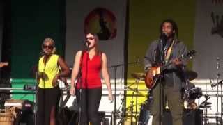 Bushhotel - Happy People (LIVE at Akasaa Festival Wien 2014)