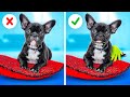 Useful DIYs And Gadgets For Smart Pet Owners