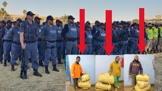 Ibona laba abatholwe namaDr*gs abebezama ukuwayisa eLimpompo ezintatha zayizolo