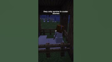 Minecraft Snow Golems #minecraft