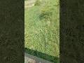 صلوا على النبي لا اله الا الله الله اكبر دعاء مستجاب اللهم صل وسلم على نبينا محمد اكسبلور