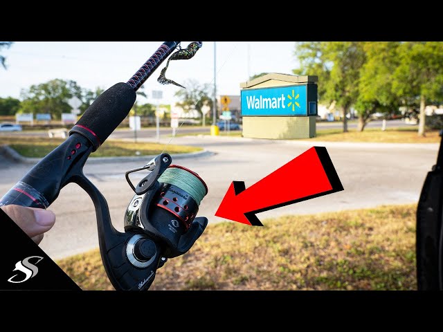 Can WALMART Fishing Rods Catch Big Fish? 