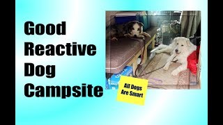 Reactive Dog Camping - Site Choice And Training by All Dogs Are Smart 685 views 5 years ago 3 minutes, 31 seconds