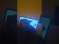 SPARKLES IN THE WAY AGAIN #funnycatvideos