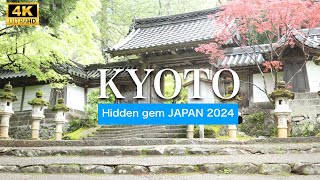 Emerald Green Serenity The Beauty of Kyoto's Saimyoji Temple in Early Summer|4K Japan travel video|