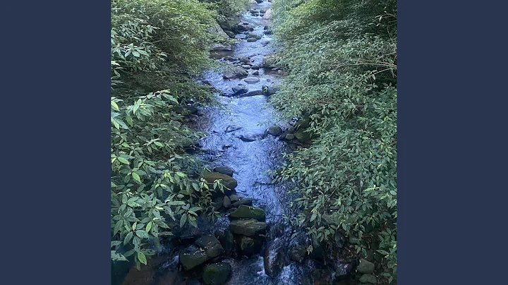 一枝草一點露 - 天天要聞