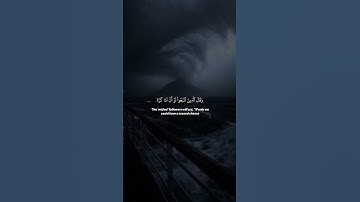 هدوء وسكينة للنفس #المصحف #قران_كريم #تلاوة_خاشعة #راحة_نفسية