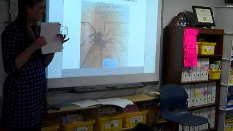 2nd Grade Writing Workshop Mini Lesson