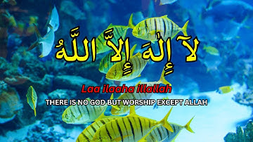 Daily Dzikir LAILAHAILLALLAH for Stress Relief I Dzikir for Easy and Restful Sleep #5