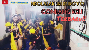 GONDANG KELI - NDOLALAK SRI BUDOYO TERBARU WONOSOBO