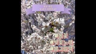 [노책쌤/어른을위한동요]&quot;벚꽃 팝콘-김기연작사,정보형작곡 + &quot;내가 예쁘다고?&quot;-황인찬지음,이명애그림(봄볕)