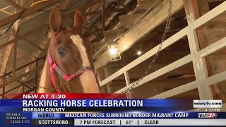 50th Annual Racking Horse World Celebration gets started in Priceville