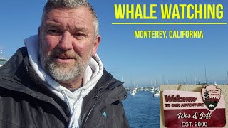 Monterey Whale Watching - California