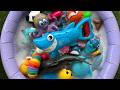 Learn Ocean Animals 🐙 | Fun Sea Creature Facts for Kids &amp; Preschoolers| Educational Content For Kids
