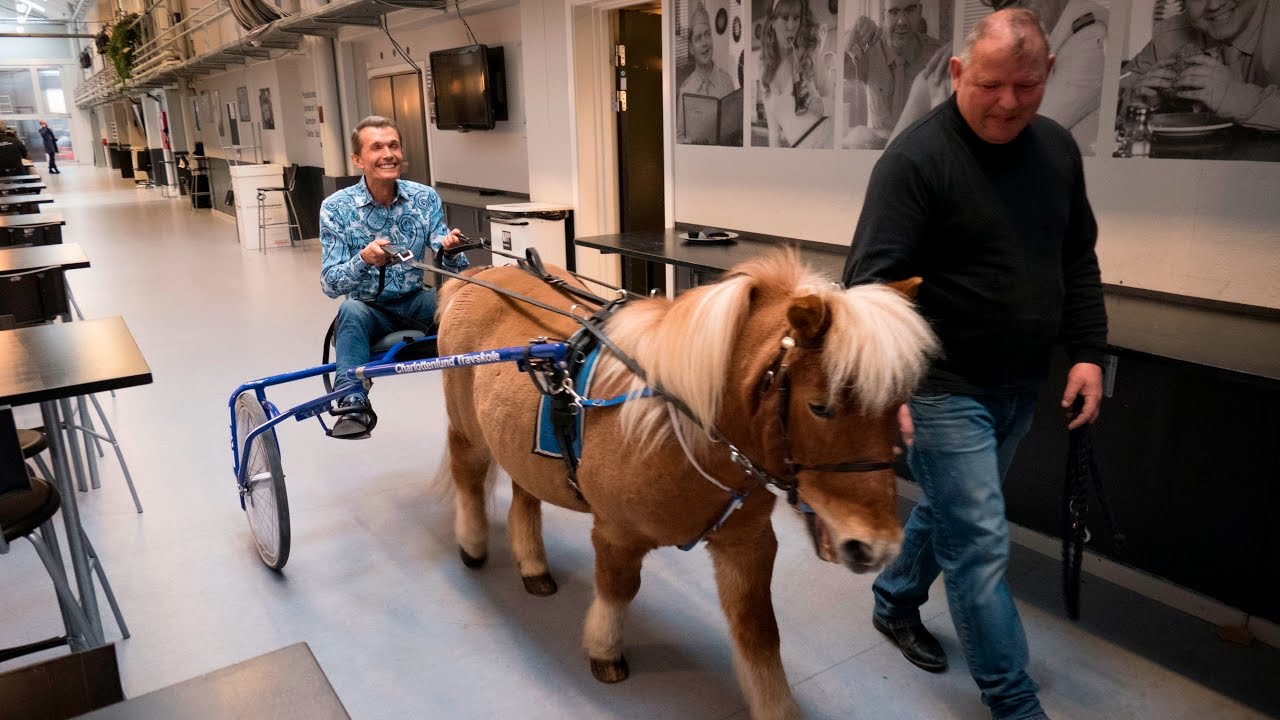 Ole Henriksen ankommer til hest