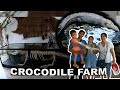 Palawan Crocodile farm and other Animals l Family Bonding l JC Enon