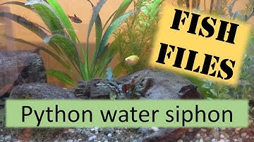 Fish files - the Python aquarium management system.