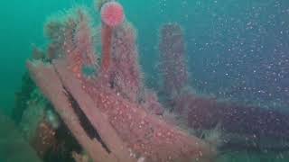 Diving the SS Loughgarry, Rathlin Island