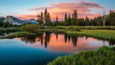 (والسماء رفعها ووضع الميزان ) تلاوة من سورة الرحمن للقارئ وديع اليمني