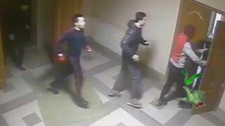 Орки и рейдерский захват собственности кентавров Орки и рейдерский захват собственности кентавров