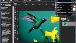 Уроки Corel PaintShop Photo Pro: «Вывод макроса» Уроки Corel PaintShop Photo Pro: «Вывод макроса»