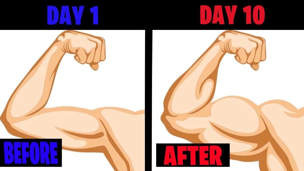 Top 5 Exercises for Strong Pumped Arms/Pump Your Body Energize - YouTube