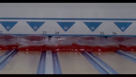 Beware The Blob (1972)