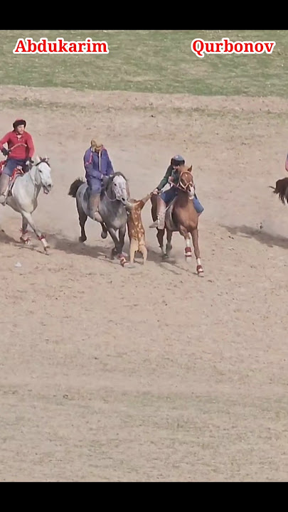 Dantelli ichki kiyimdagi yoyilgan oyoqlarning fotosurati