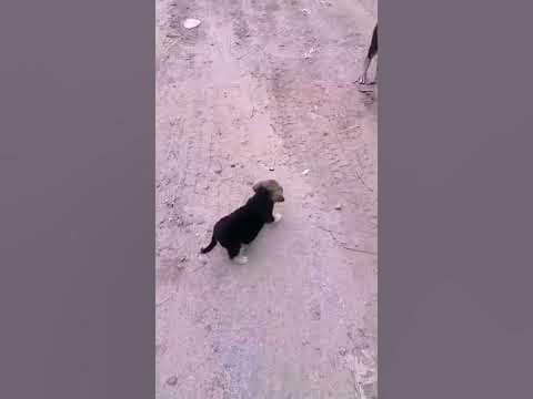 смешно 😂 - YouTube