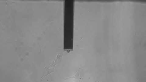 CoreAFM FluidFM focusing on the cantilever