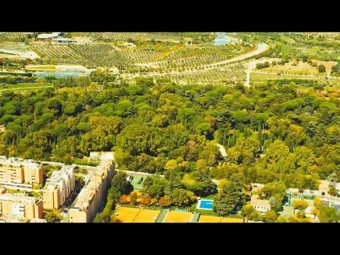 Madrid building a huge urban forest in a bid to combat climate change