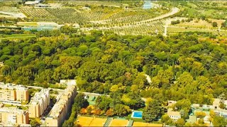 Madrid building a huge urban forest in a bid to combat climate change