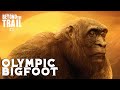 Olympic Bigfoot - Beyond the Trail new Sasquatch evidence documentary On the Trail of Bigfoot tie-in